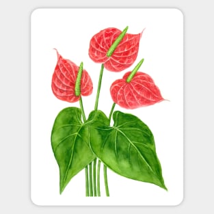 Flamingo flower watercolor Sticker